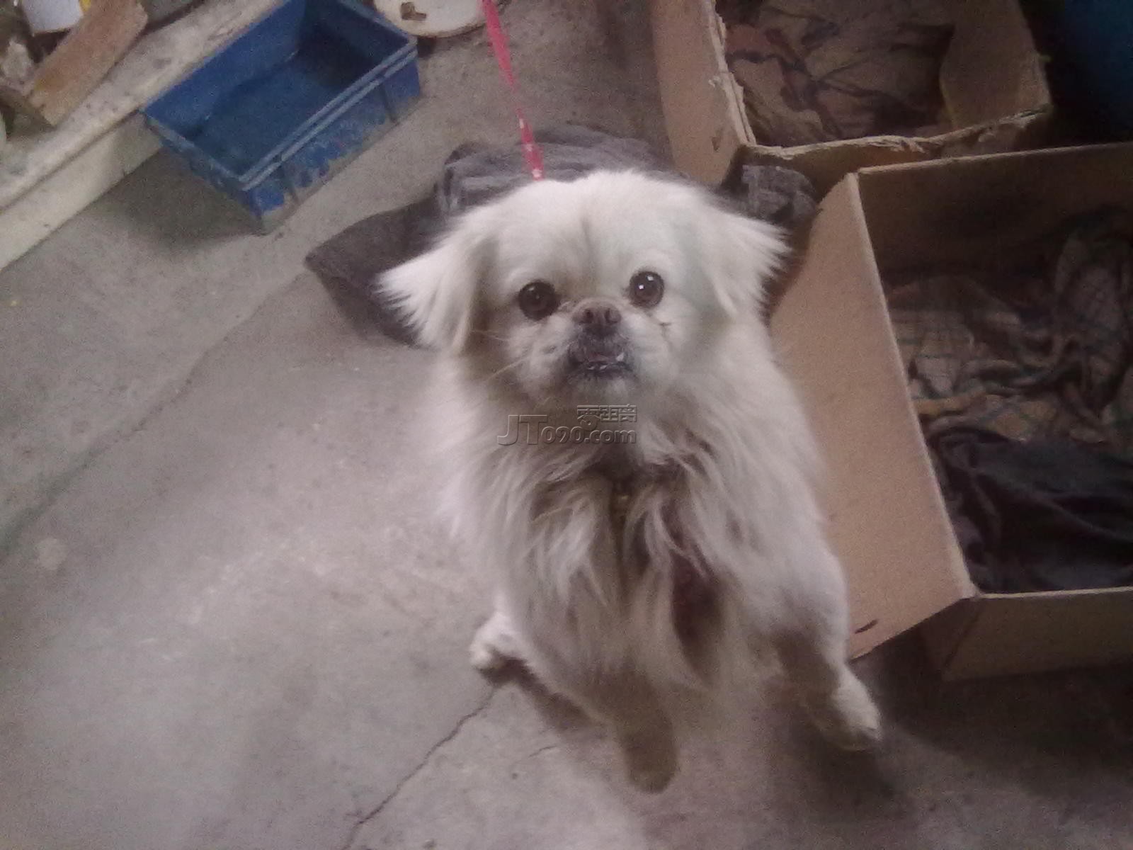 20110402054.jpg