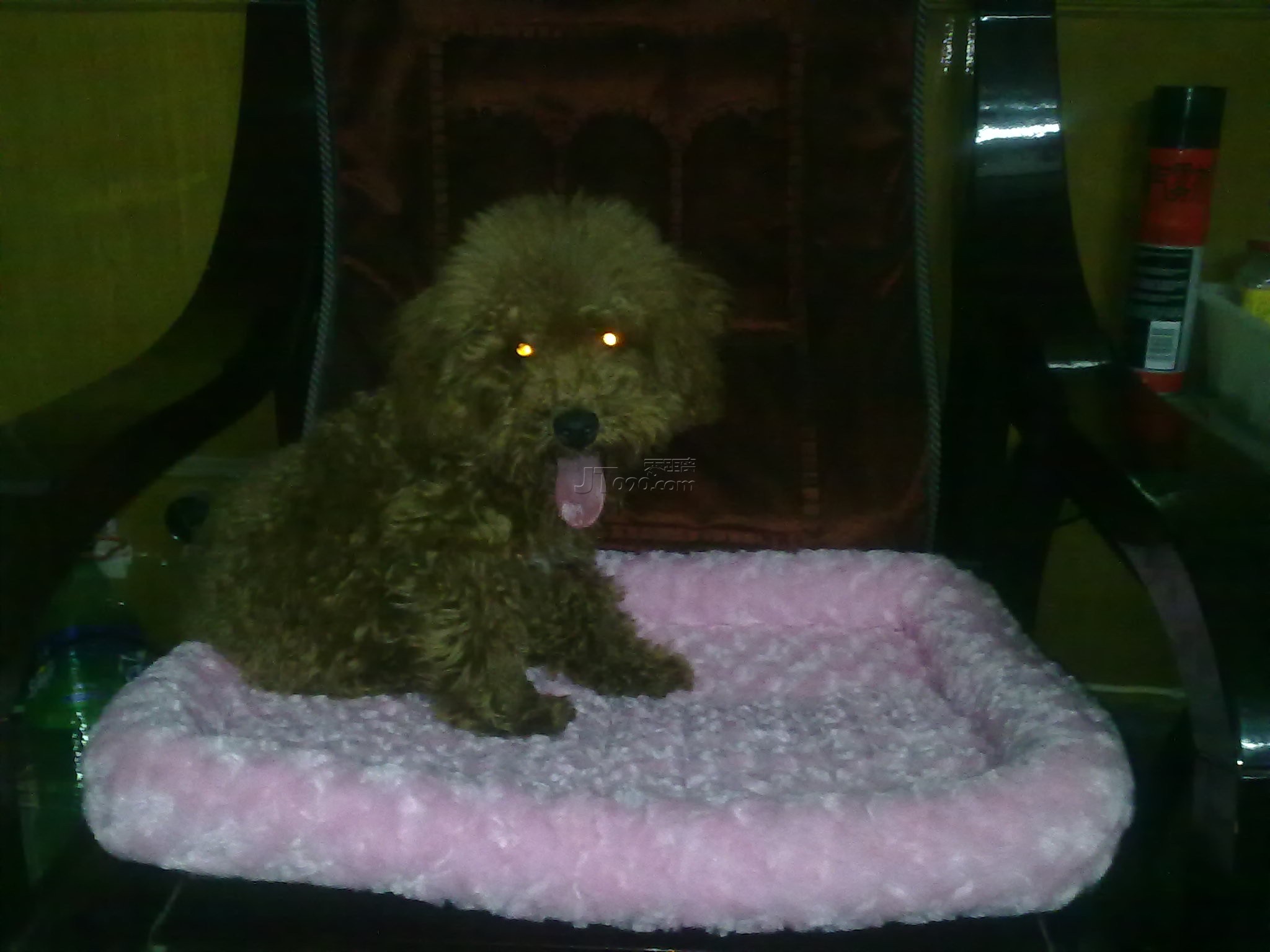 20110920308.jpg