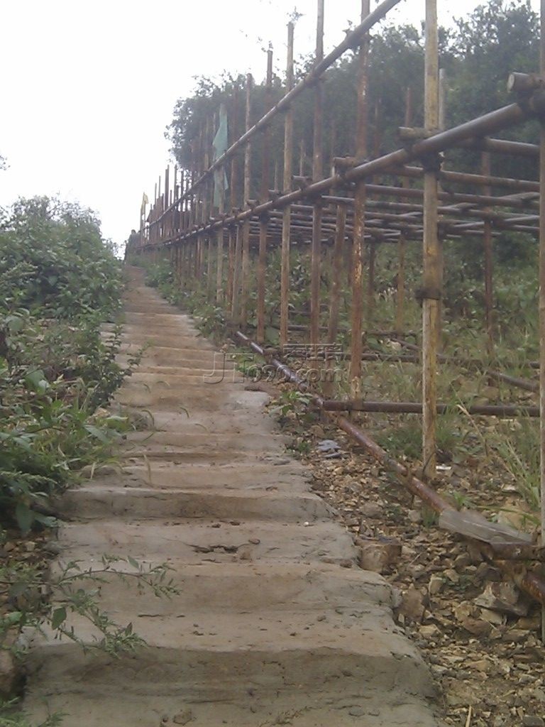 C360_2011-10-02 10-51-33.jpg