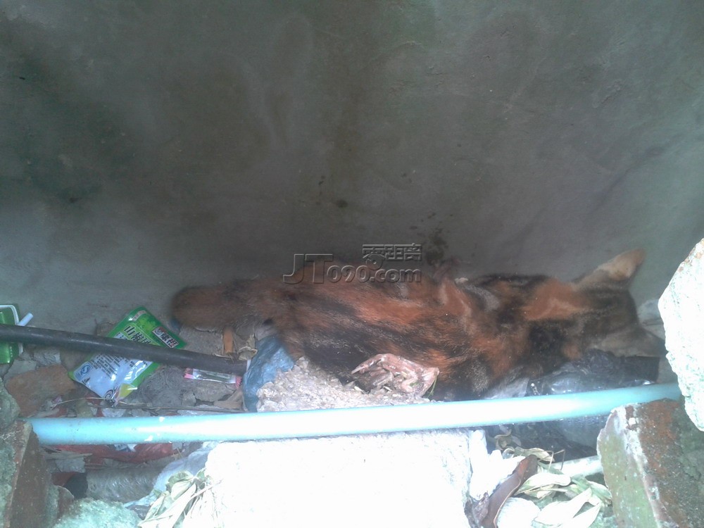 2011-10-05 13.22.00.jpg
