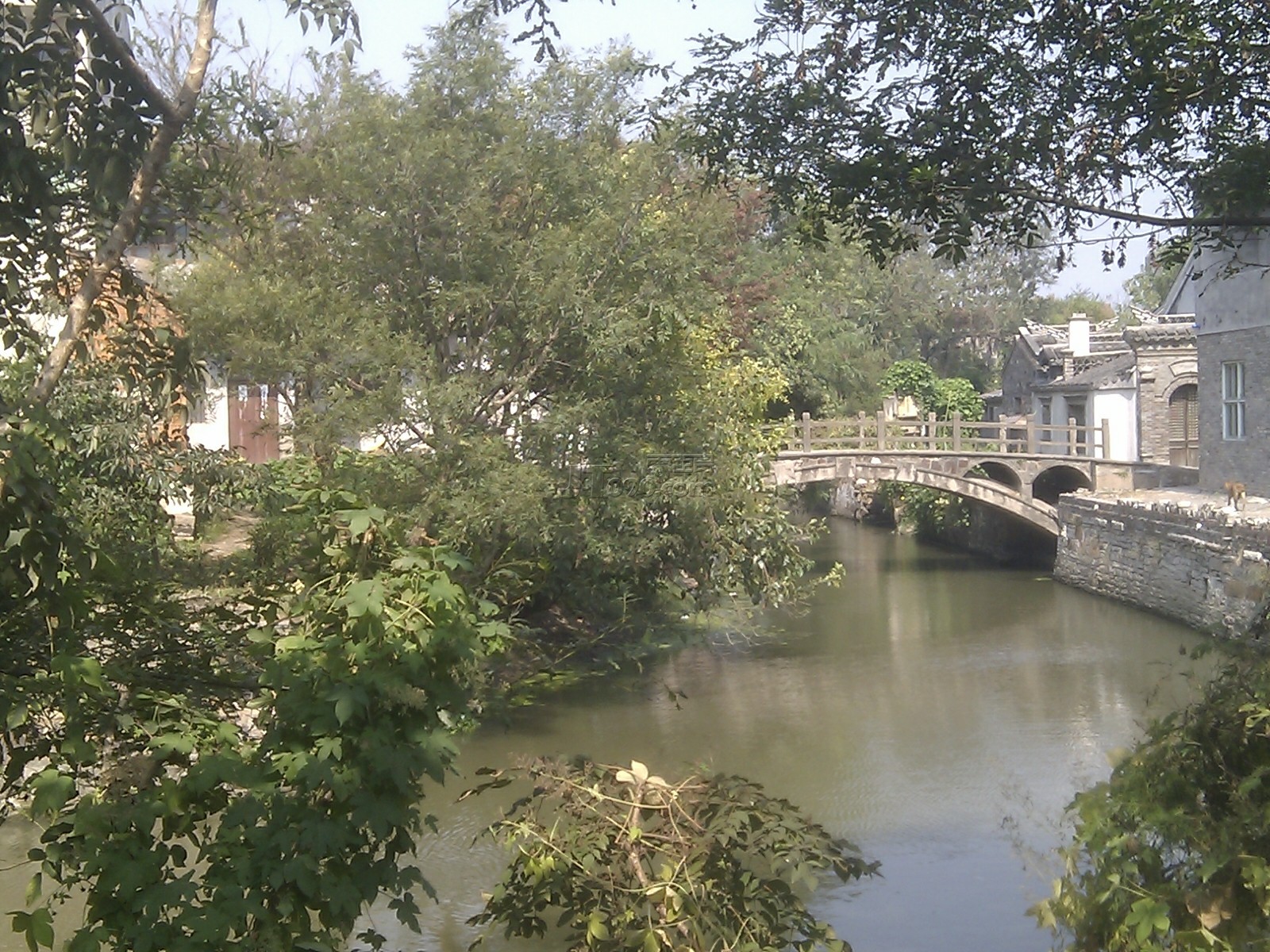C360_2011-10-09-12-49-17.jpg