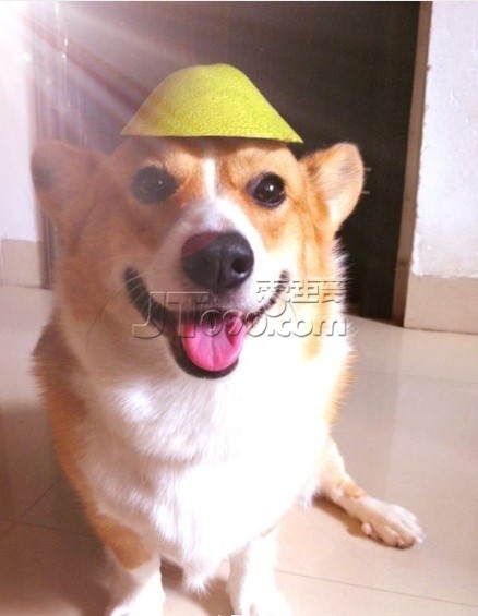 һԷʱ䣬ˡ.jpg