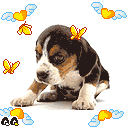 20100826011634436.gif