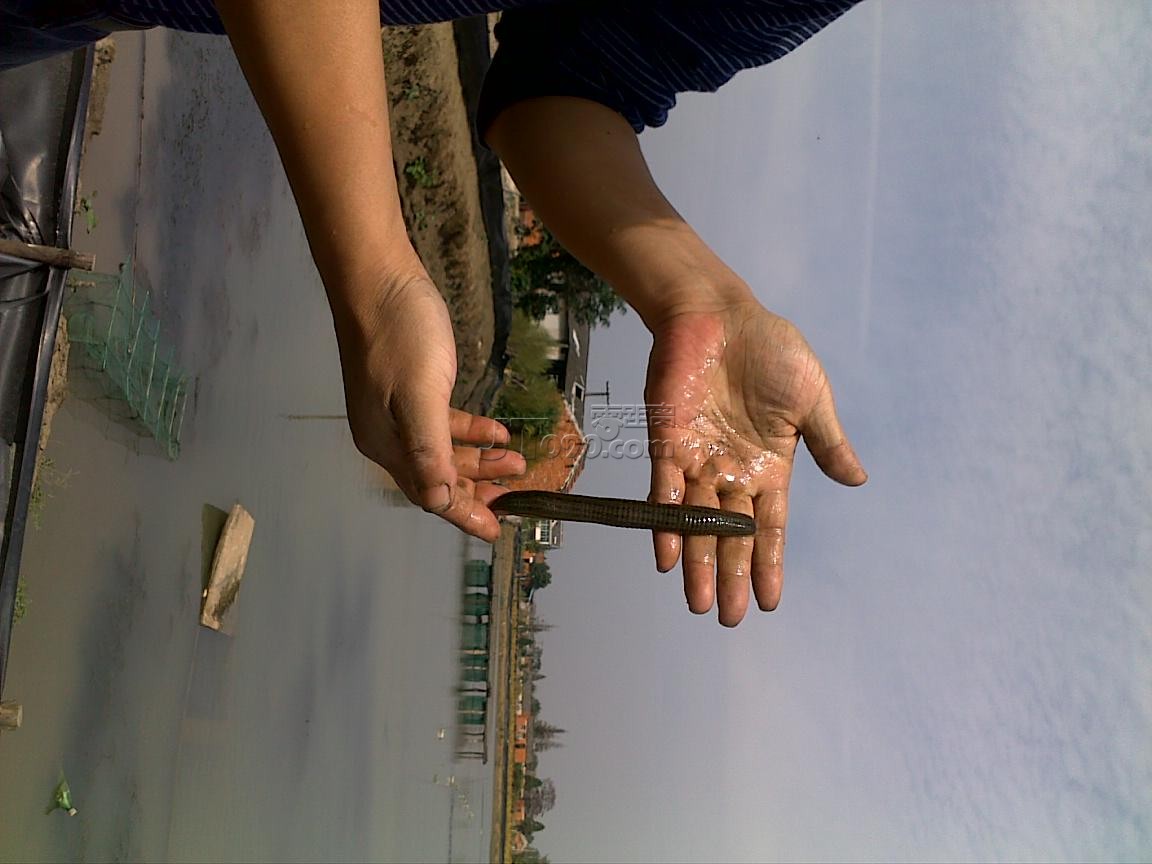 20111016548.jpg