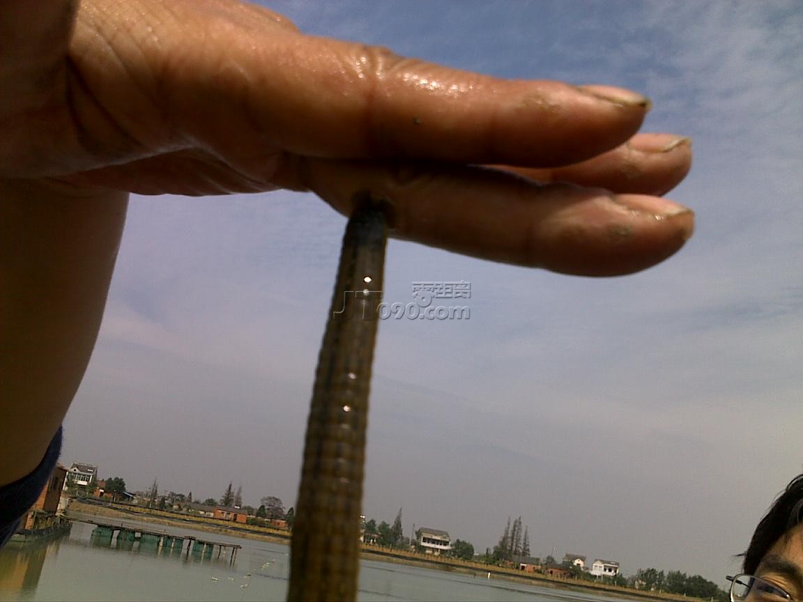 20111016549.jpg