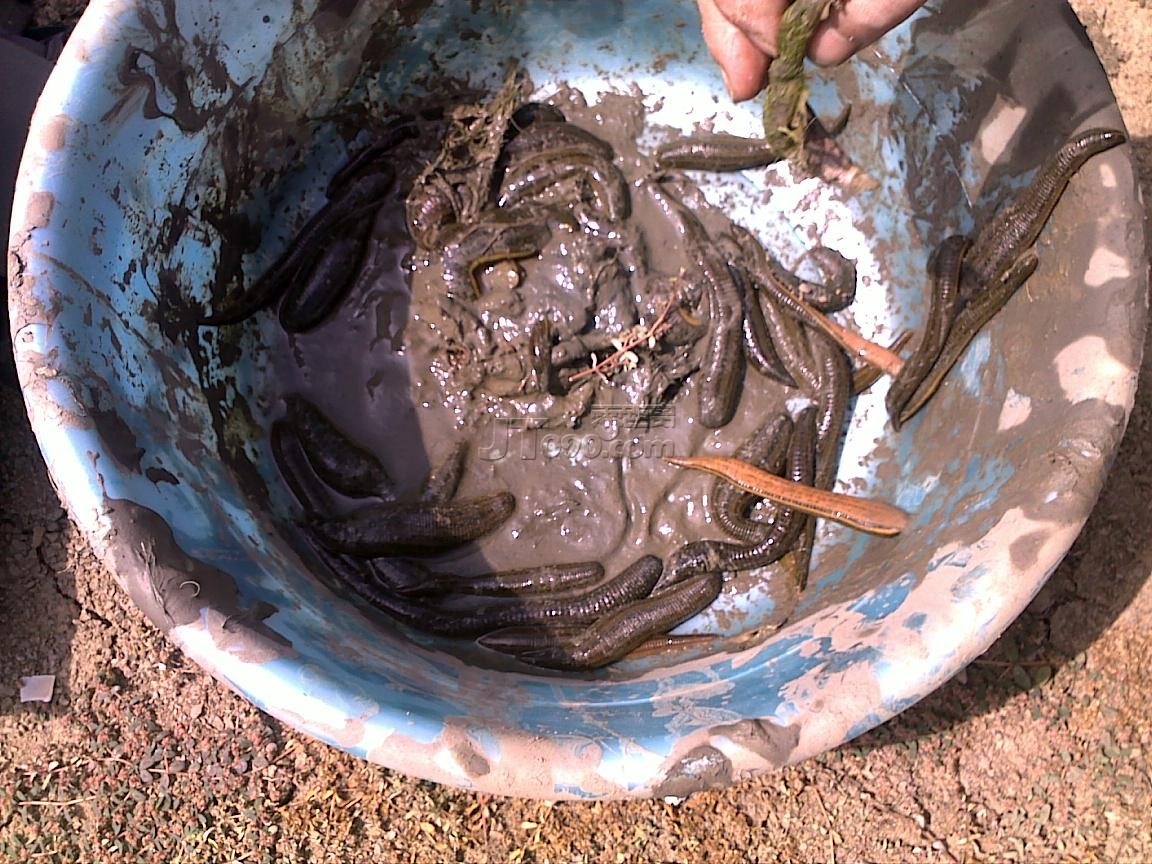 20111016544.jpg