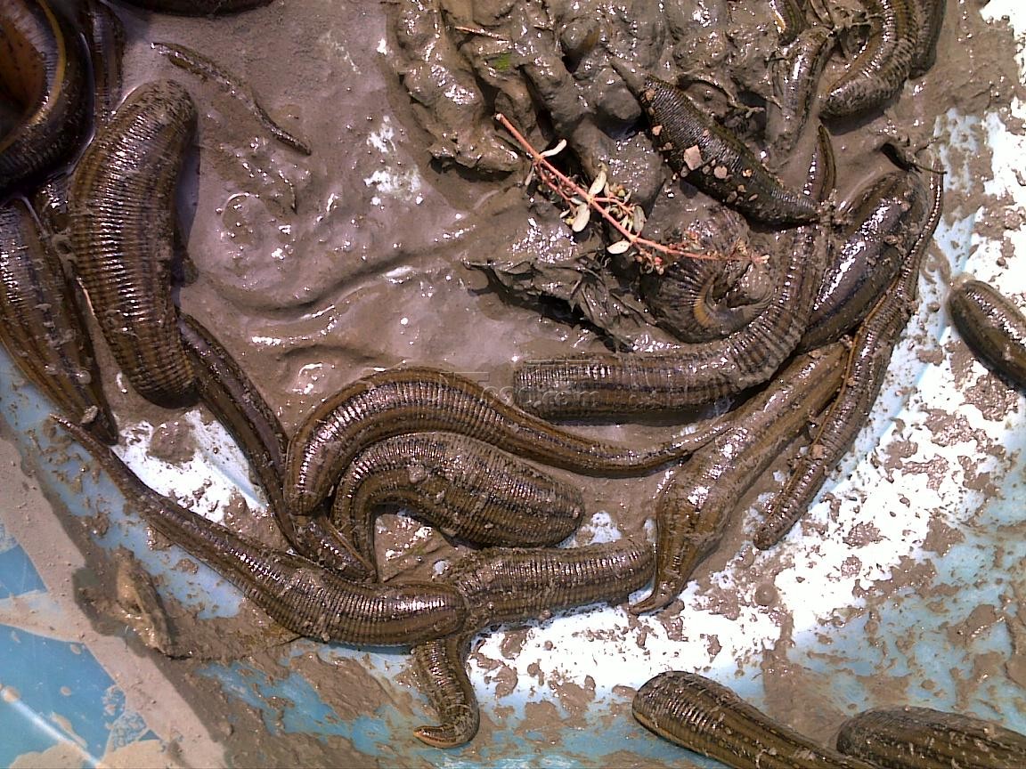 20111016546.jpg