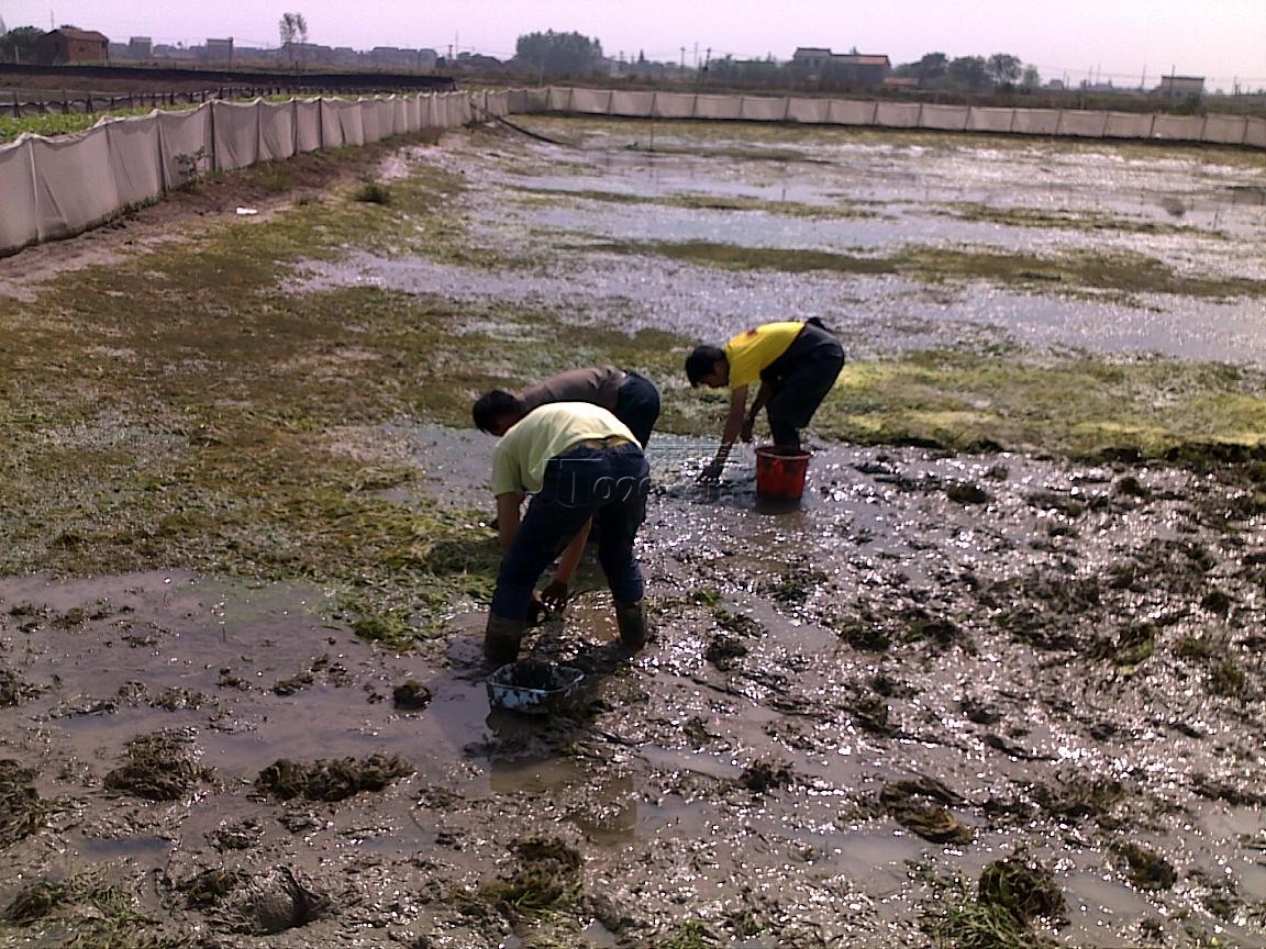 20111016551.jpg