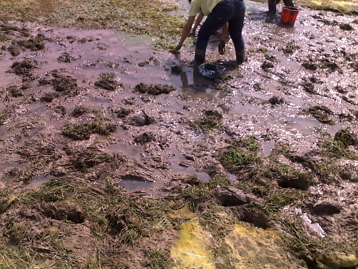 20111016552.jpg