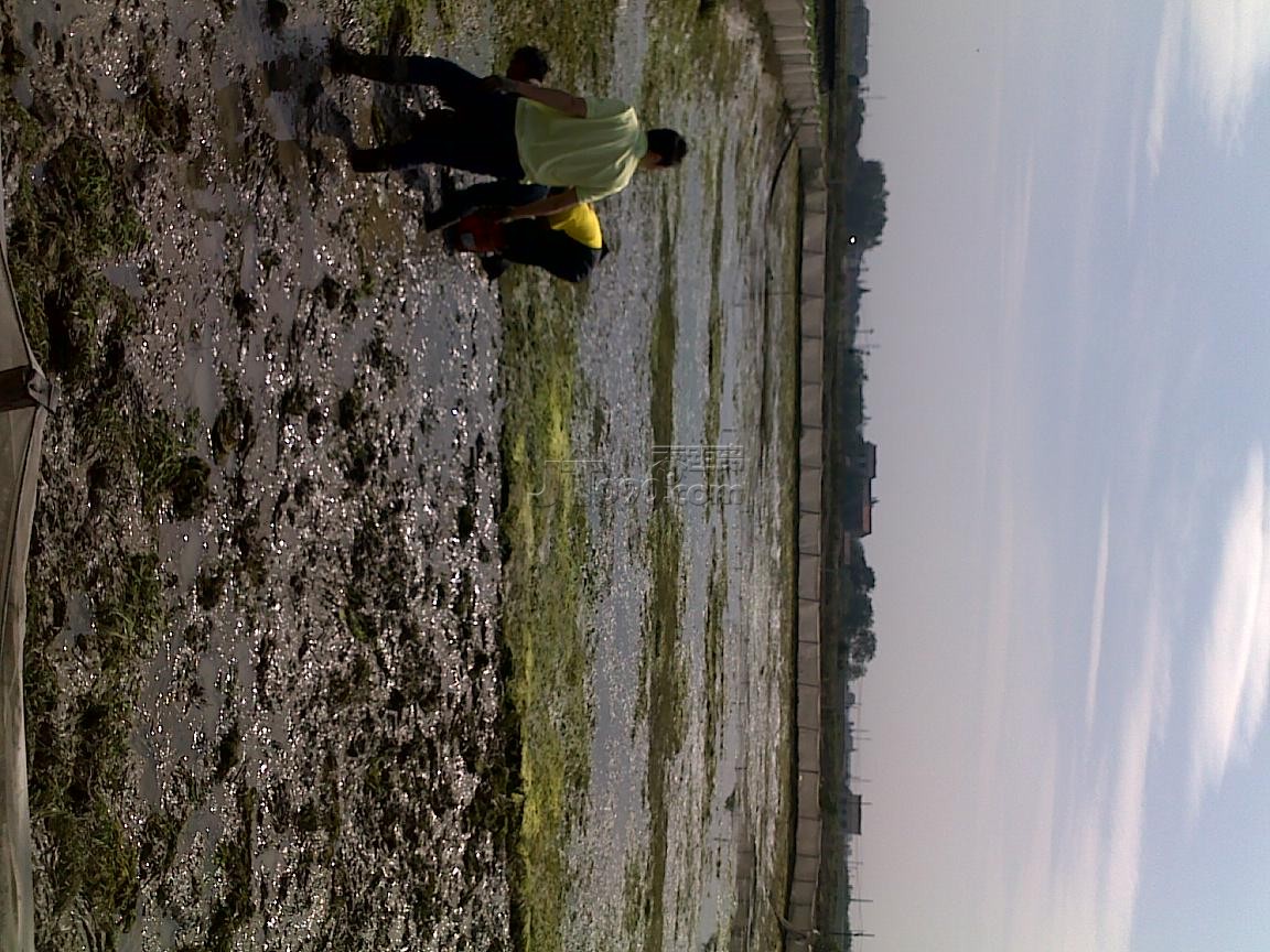 20111016554.jpg