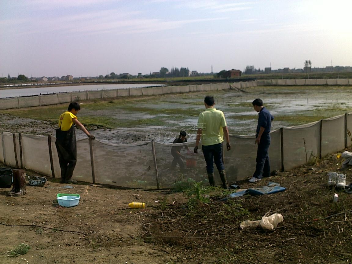 20111016557.jpg