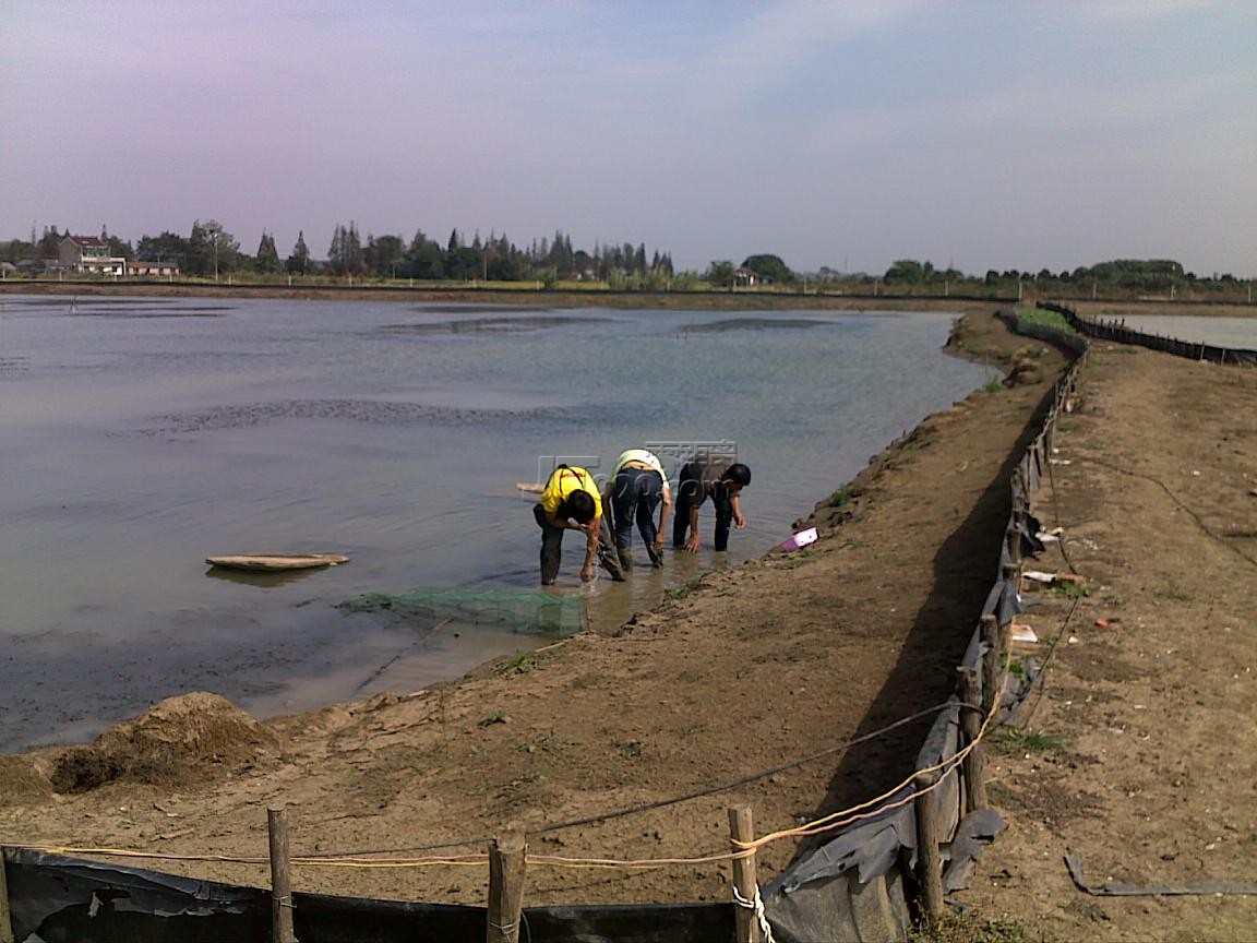 20111016558.jpg