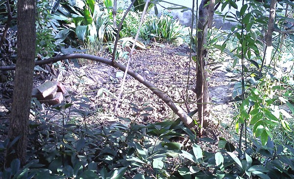 IMG0426.jpg
