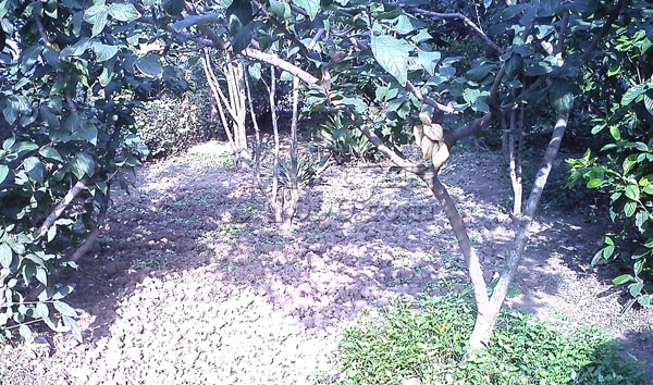 IMG0424.jpg