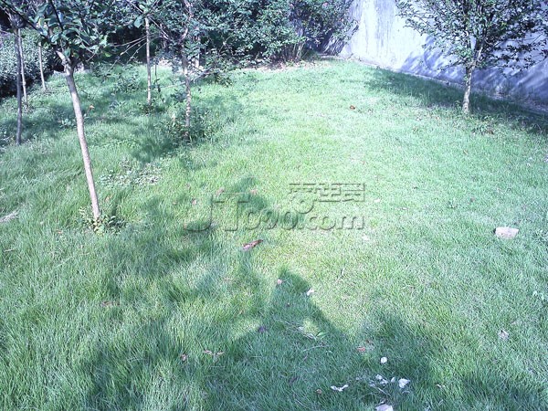 IMG0427.jpg