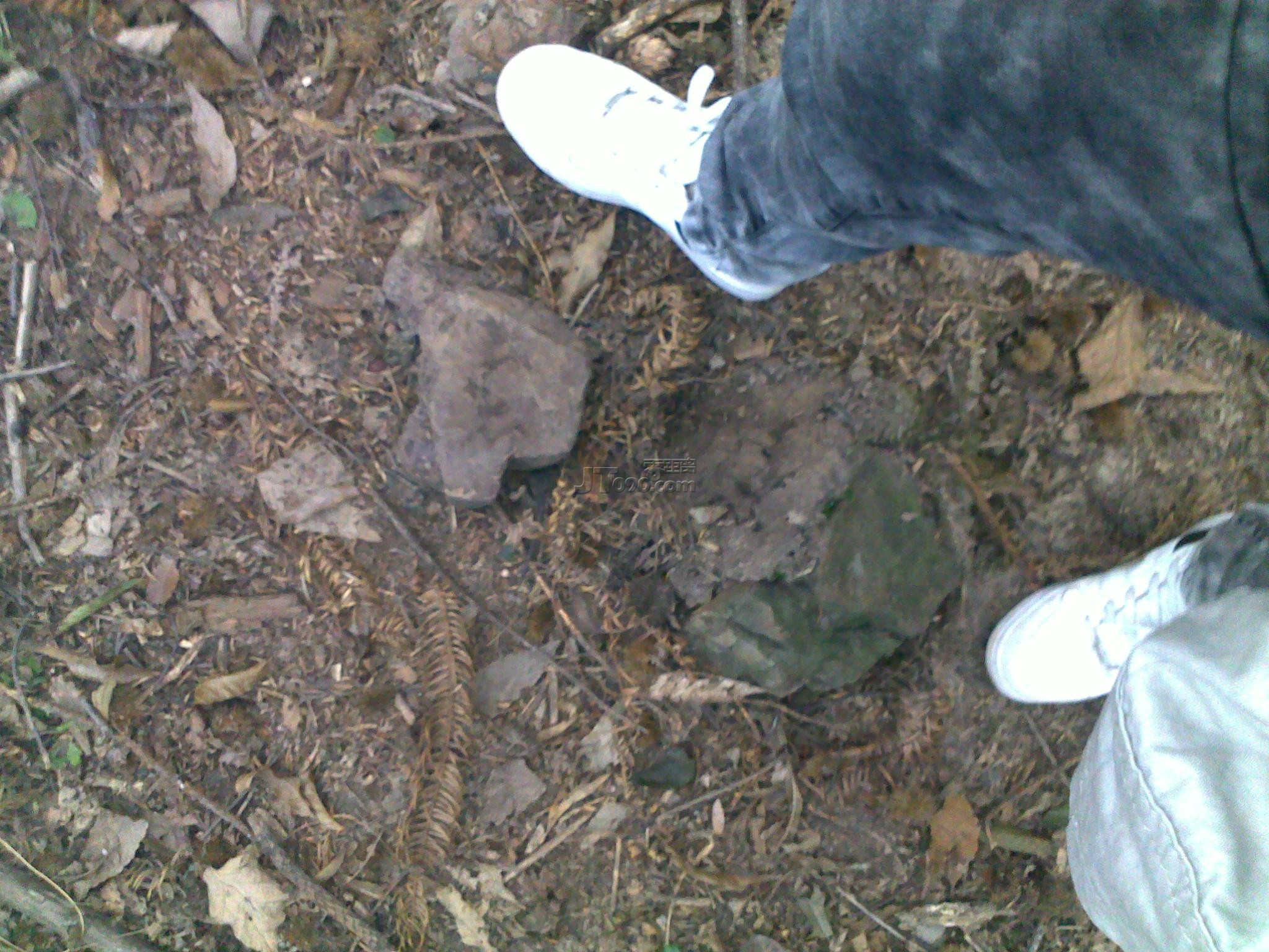 20111022668.jpg