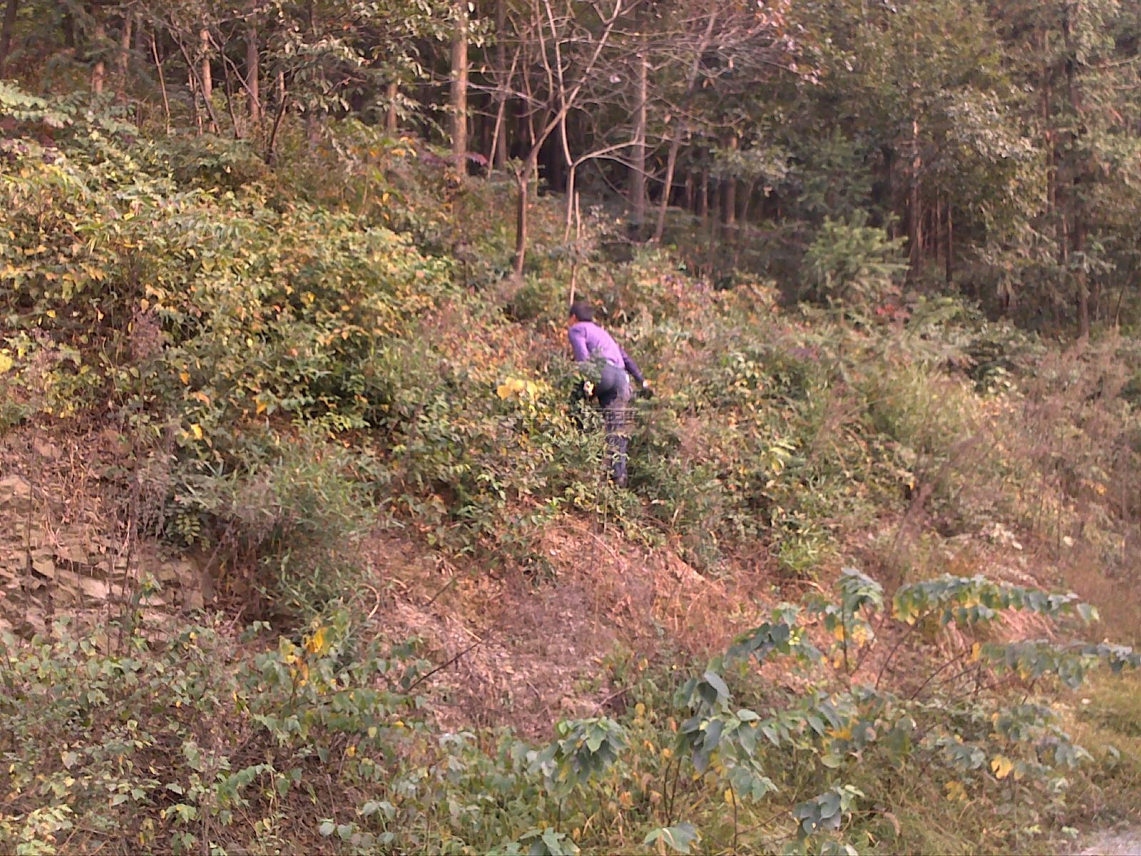 20111022639.jpg