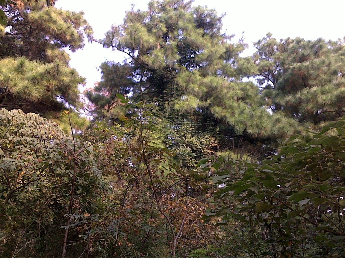 20111022620.jpg