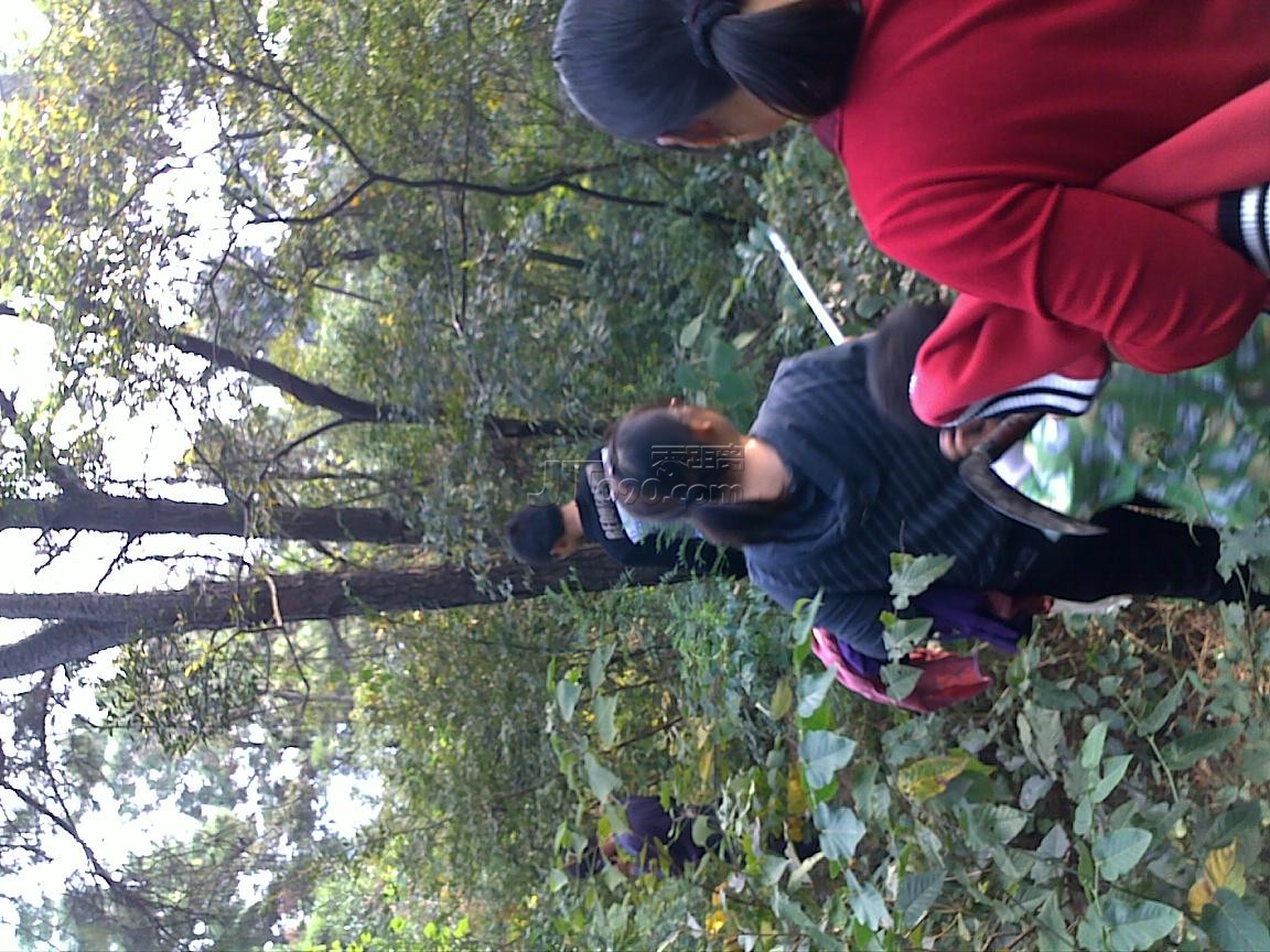 20111022626.jpg