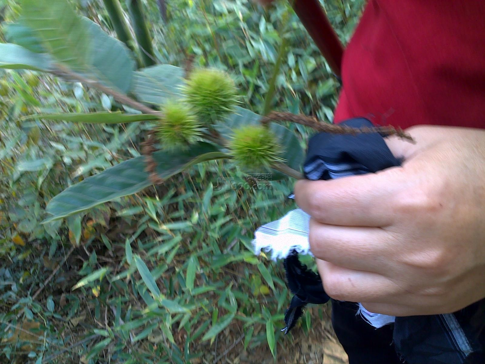 20111022633.jpg