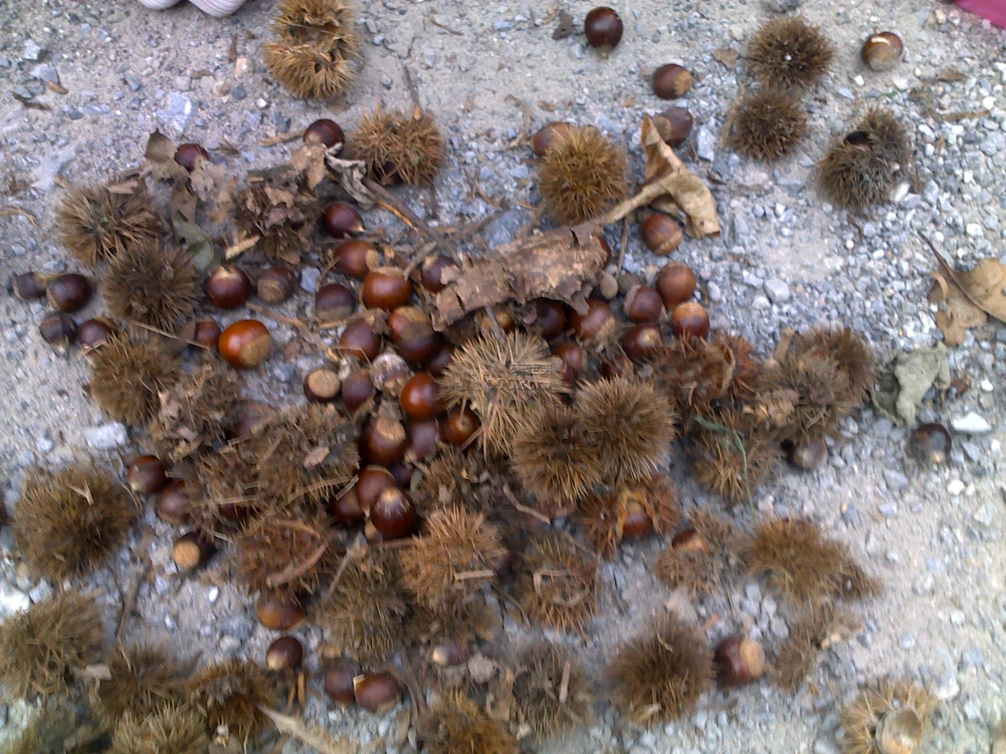 20111022675.jpg