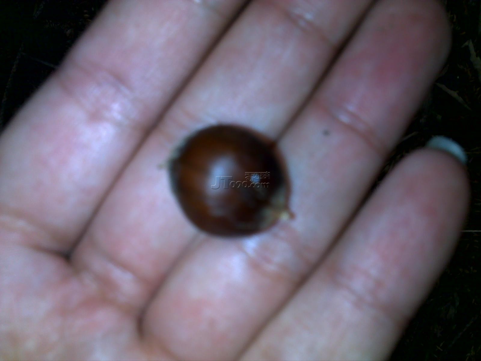 20111022665.jpg