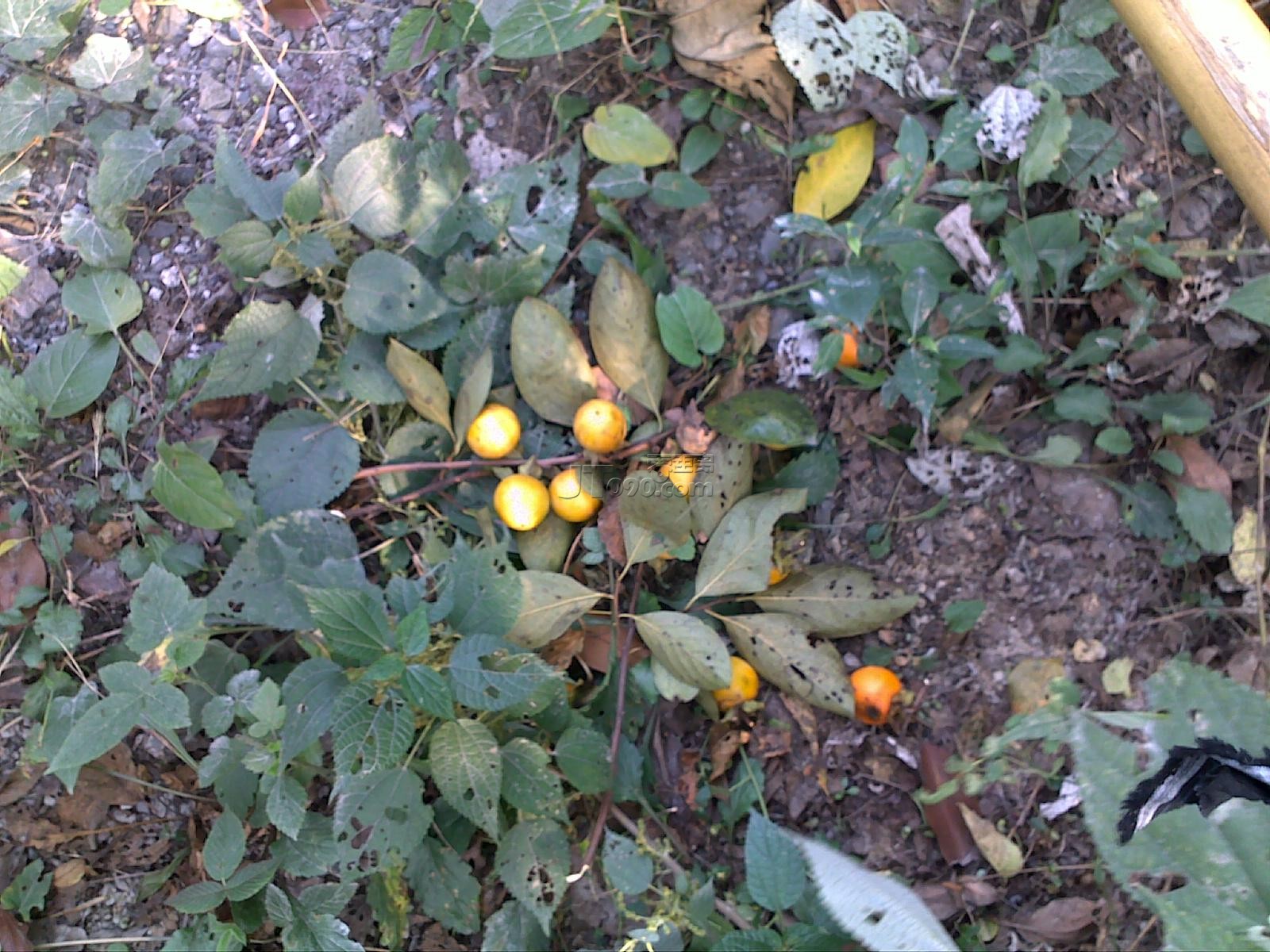 20111022635.jpg