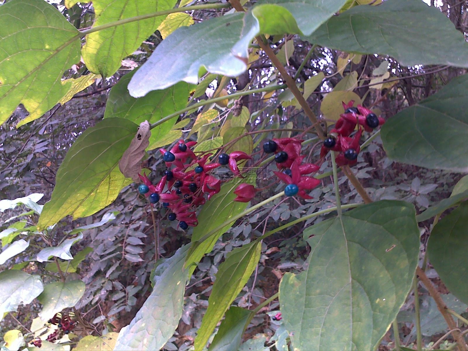 20111022653.jpg