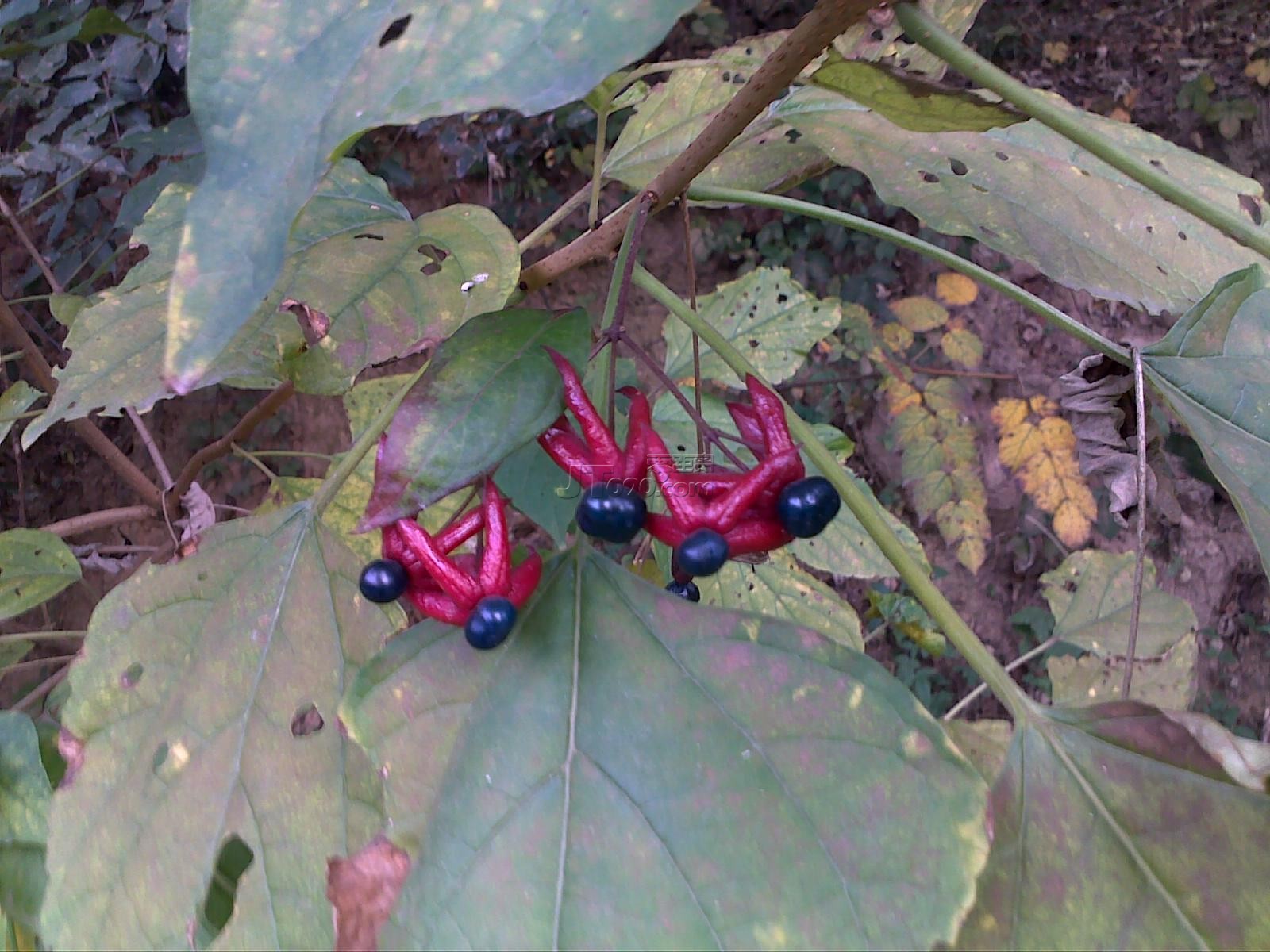 20111022652.jpg