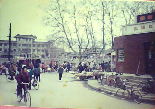ͼƬ 017.jpg