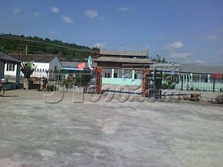 img1024102501_ת.jpg