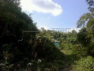 IMG1024101301.jpg