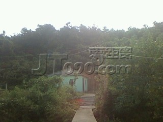 IMG1024101400.jpg