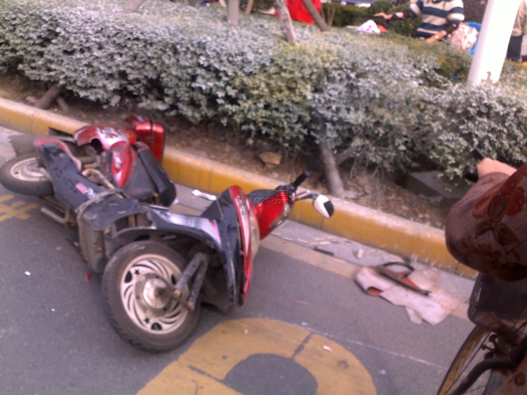 20111102687.jpg