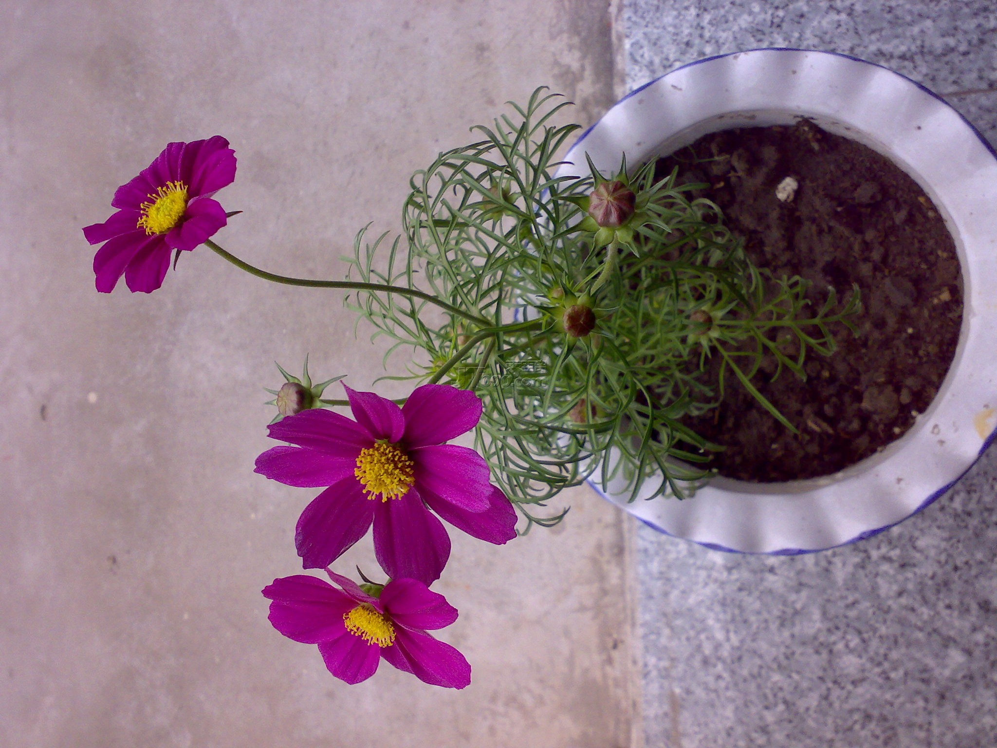 20111026007.jpg