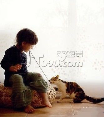62f8b5a3jw1dn16nzdn9rj.jpg