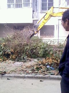 IMG0002T.jpg