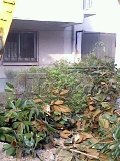 IMG0002V.jpg