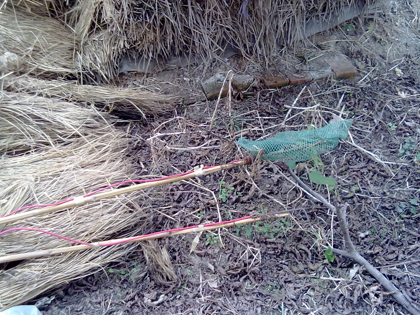 20111102025.jpg