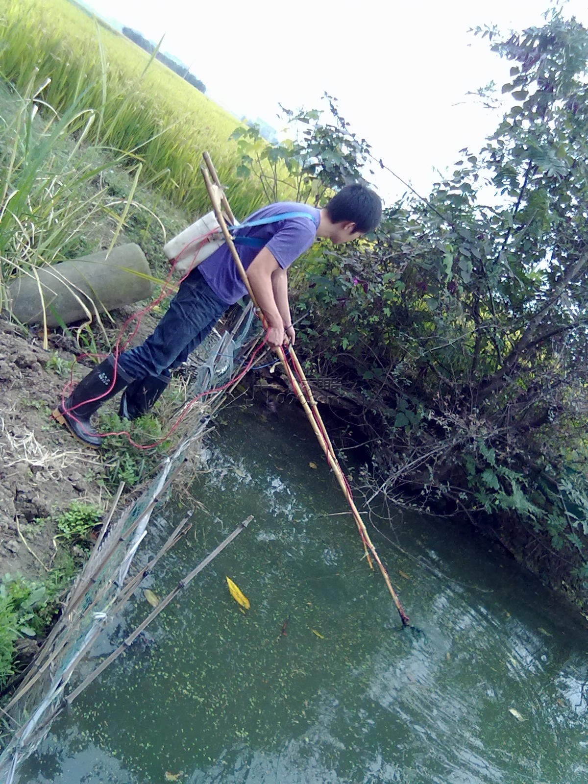 20111102046.jpg