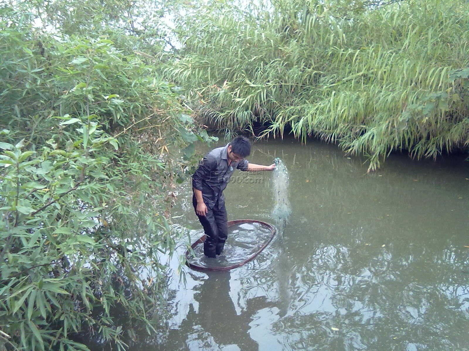 20111102049.jpg
