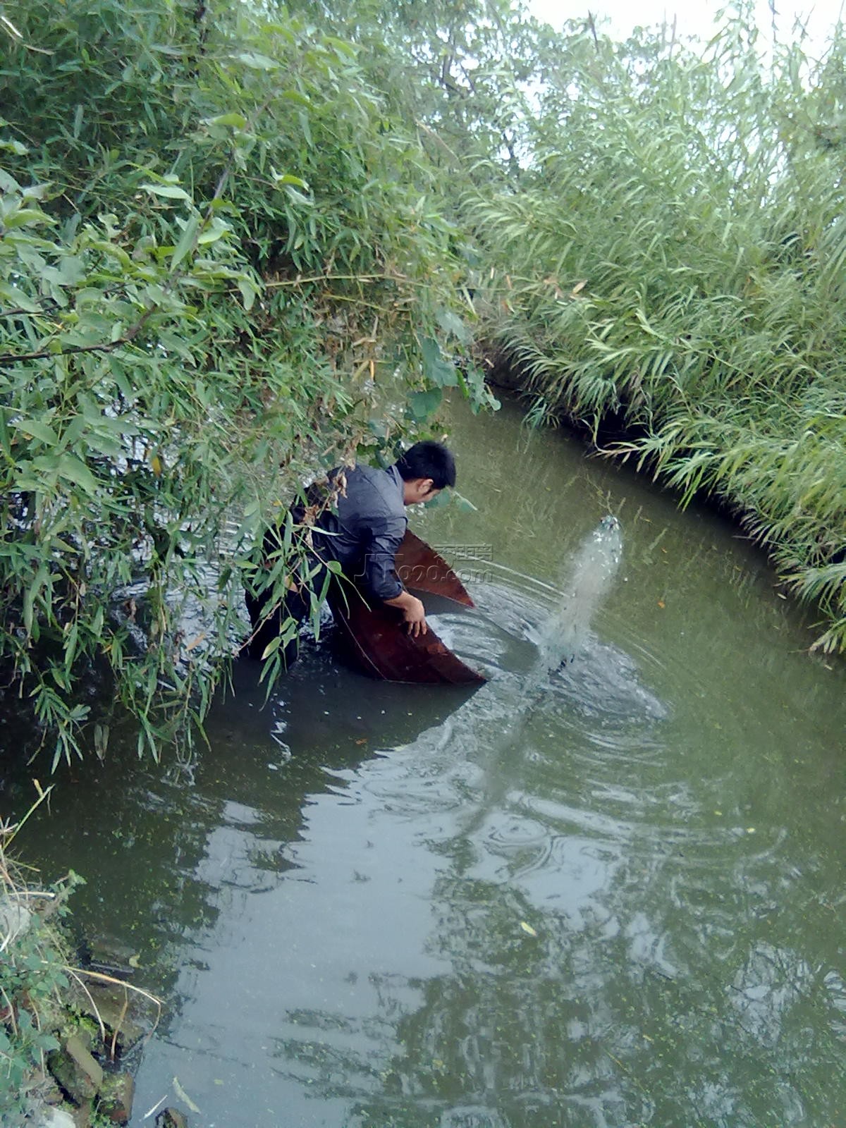 20111102051.jpg