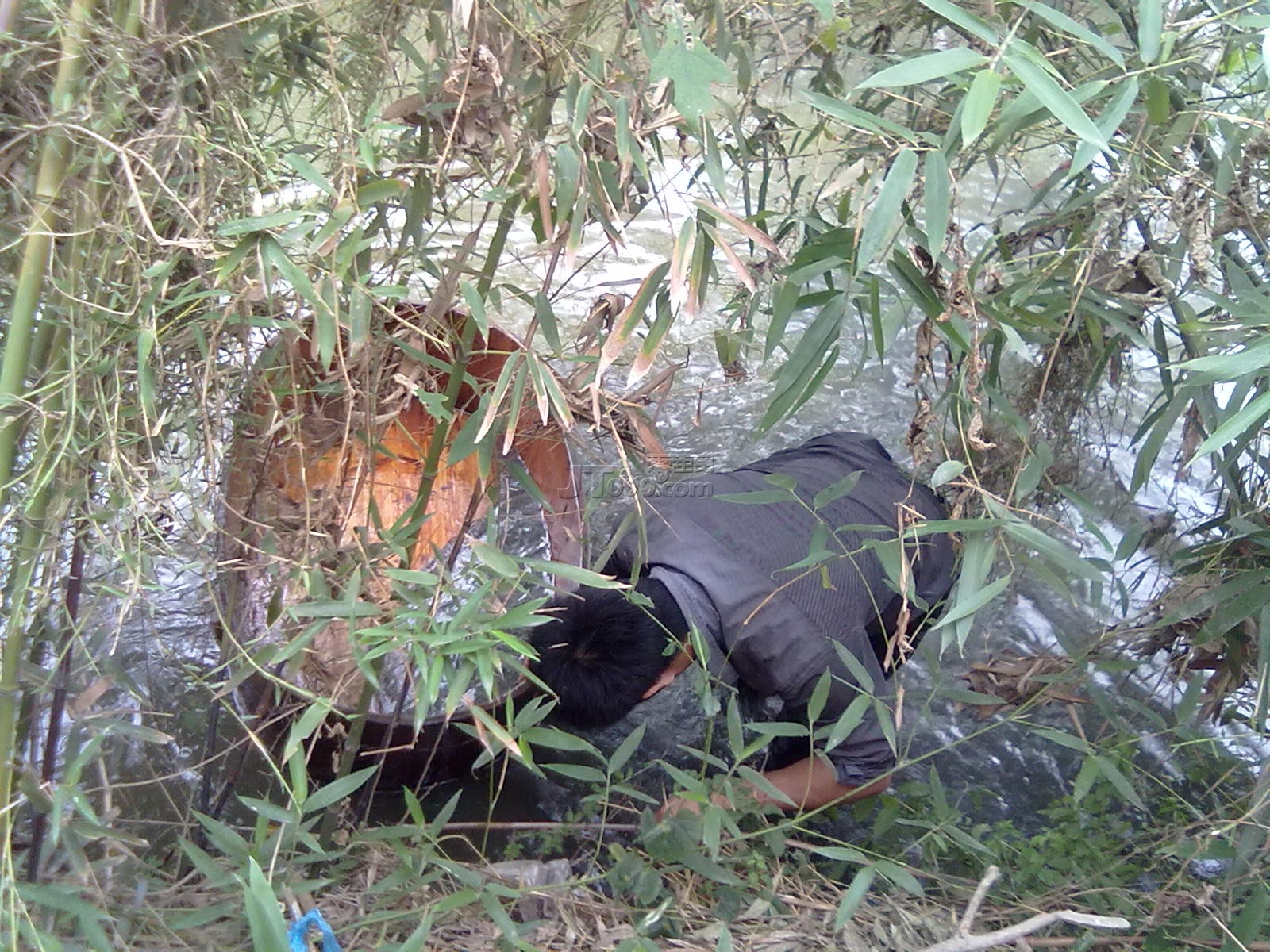 20111102054.jpg