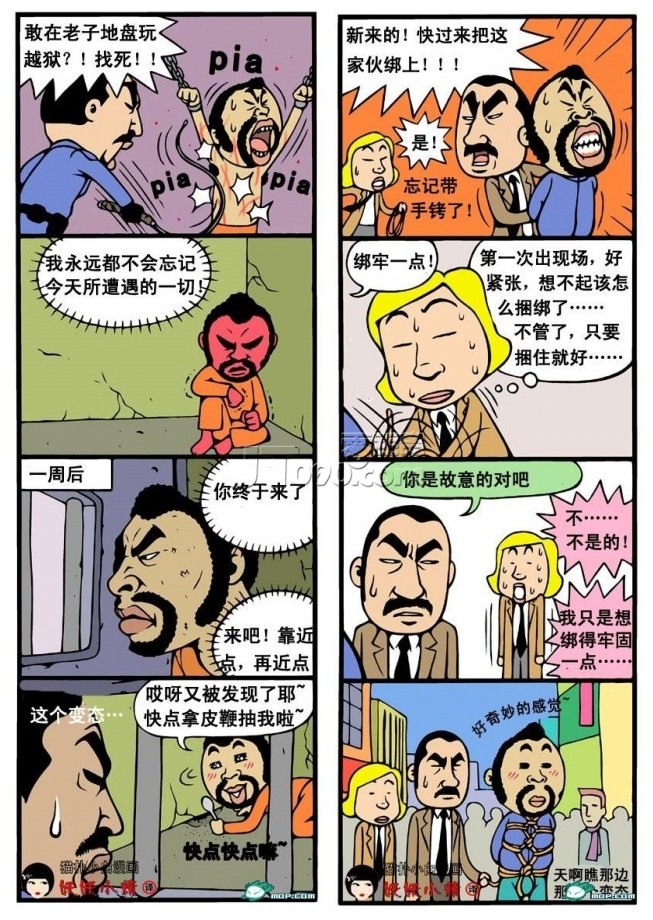 31.jpg