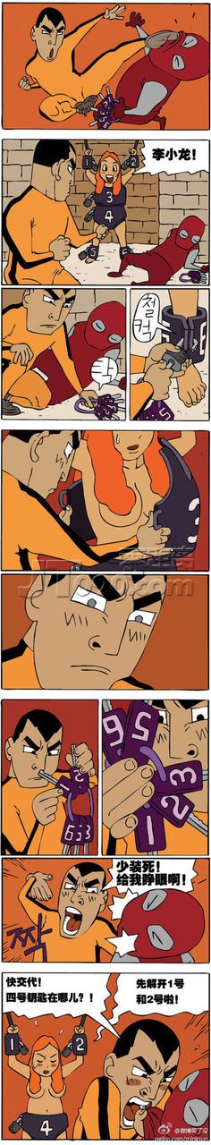 41.jpg