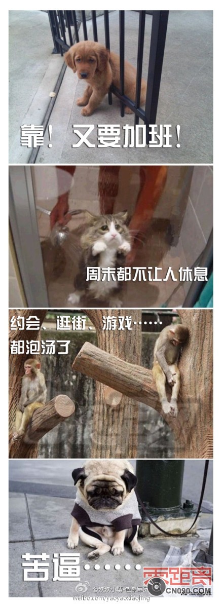 8245bf01gw1dnods685nrj.jpg