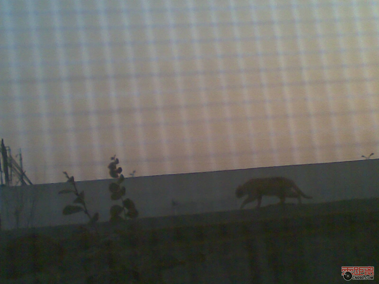 20111212.jpg