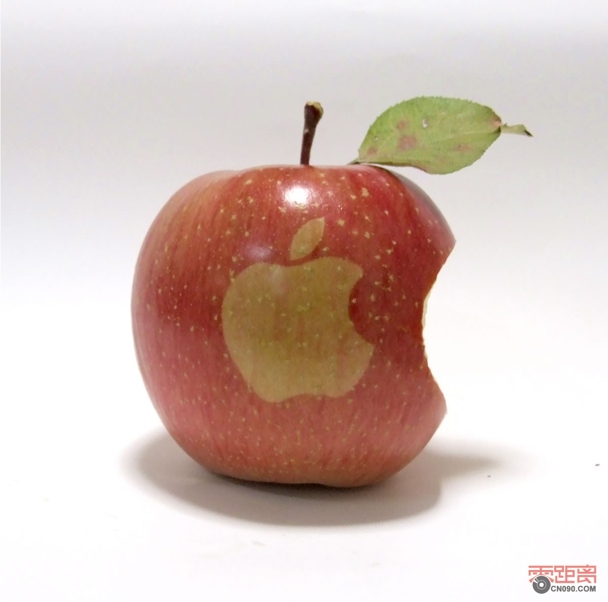 appleonapple_15_2.jpg