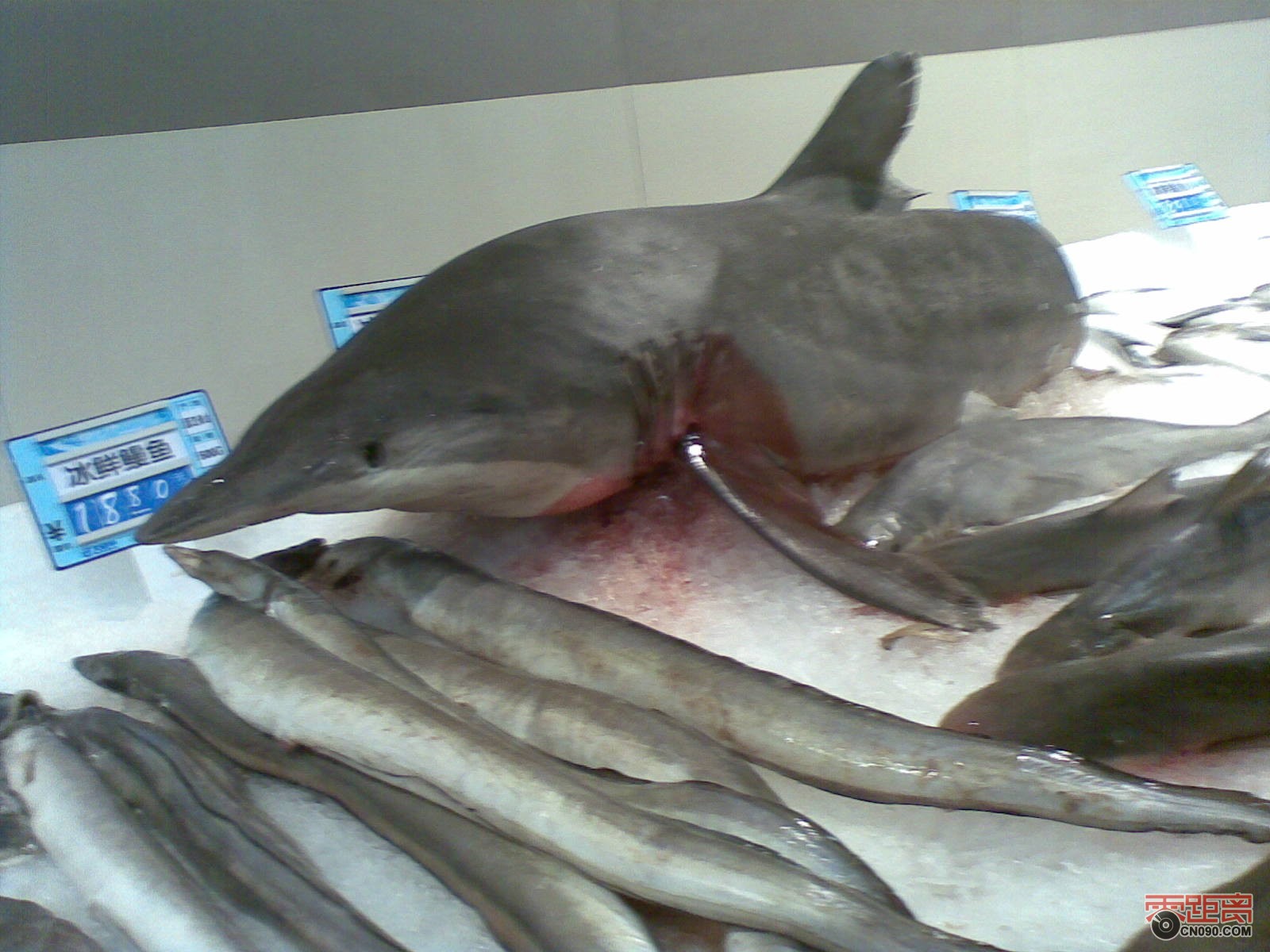 20111228.jpg