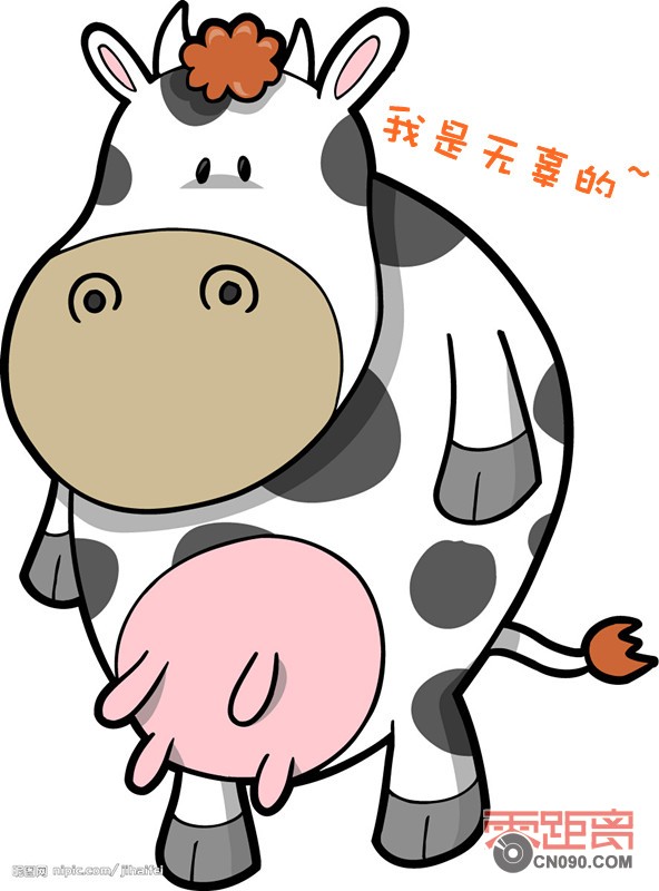 2742981_080926078_2_.jpg